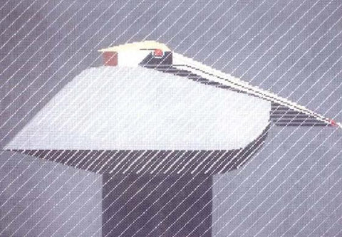 Pelican in a Downpour