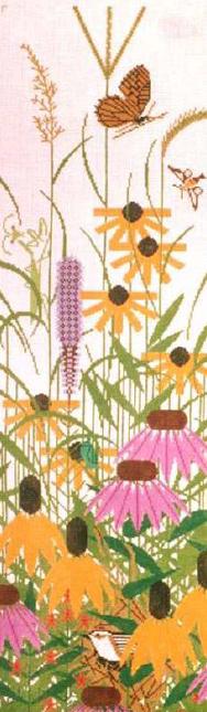 Tall Grass Prairie