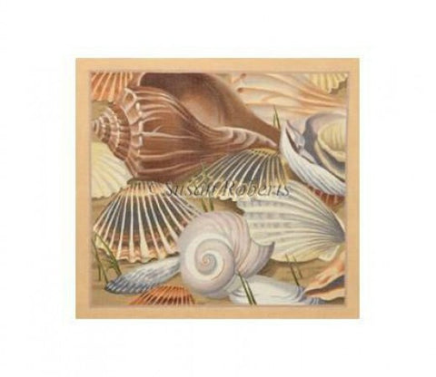 Seashells