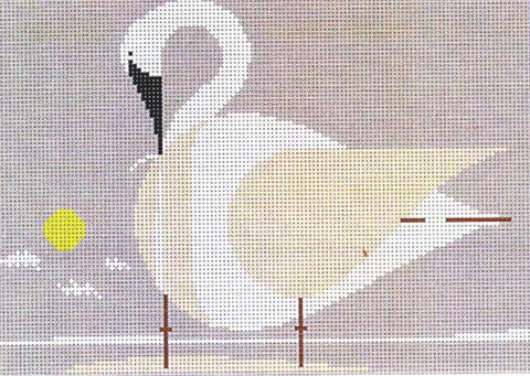 Trumpeter Swan
