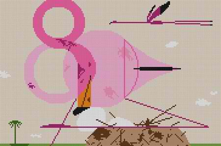Flamingoes
