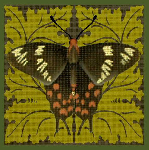 Black/White Butterfly