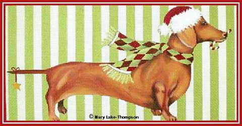 Dachshund
