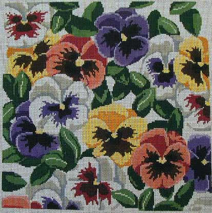 Pansies - mixed colours