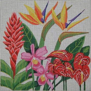Tropical Flowers 