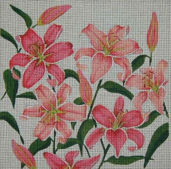 Stargazer Lily
