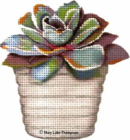 Gray Succulent