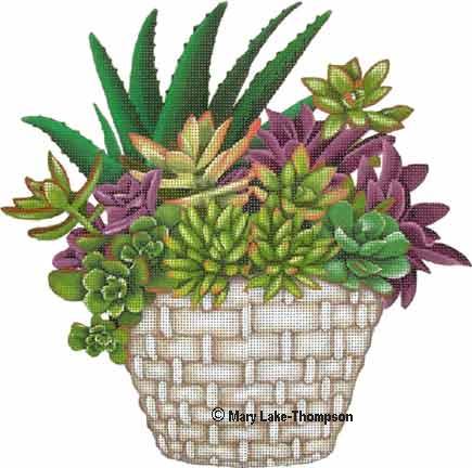 Succulents