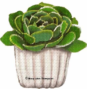 Green Succulent