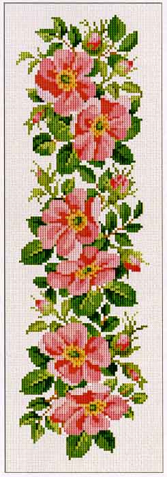 Wild Rose Border