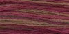 1326 Rust - Weeks Dye Works 6 Strand Floss
