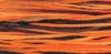 4101 Trick or Treat - Weeks Dye Works 6 Strand Floss