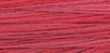 2263 Begonia - Weeks Dye Works 6 Strand Floss