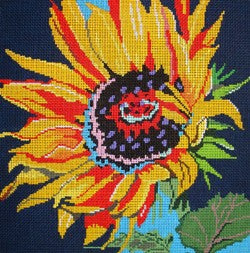 Sunflower on  Purple