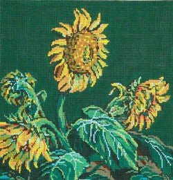 Sunflowers on Green
