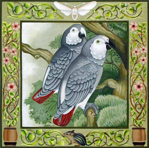 African Greys