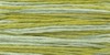 2176 Meadow - Weeks Dye Works 6 Strand Floss
