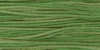 2171 Emerald - Weeks Dye Works 6 Strand Floss