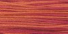 2245 Grapefruit - Weeks Dye Works 6 Strand Floss