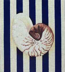 Nautilus Shell Square / Stripes