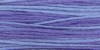 2342 Dutch Iris - Weeks Dye Works 6 Strand Floss