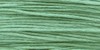 2141 Lagoon - Weeks Dye Works 6 Strand Floss