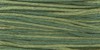 2166 Bayberry - Weeks Dye Works 6 Strand Floss