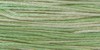 2181 Cactus - Weeks Dye Works 6 Strand Floss