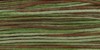 4135 Foliage - Weeks Dye Works 6 Strand Floss