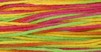 4143 Calypso - Weeks Dye Works 6 Strand Floss