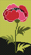 Poppy