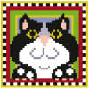 Dan the Cat Mini