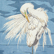 Large Egret / blue background