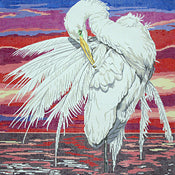 Large Egret / sunset
