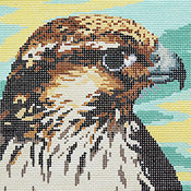 Peregrine Falcon Head