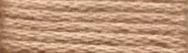 203 Russet Red Range - Needlepoint Inc Silk Skein