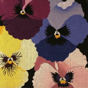 Pansies Galore