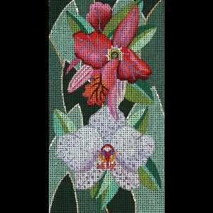 Jeweled Orchids