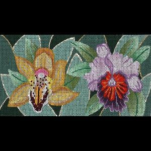 Jeweled Orchids