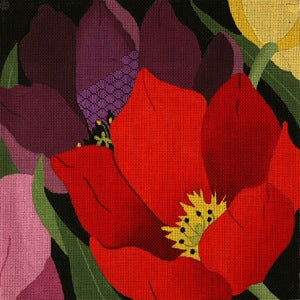 Giant Tulips