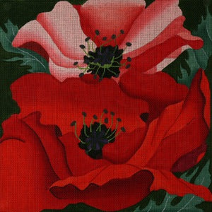 Giant Poppies
