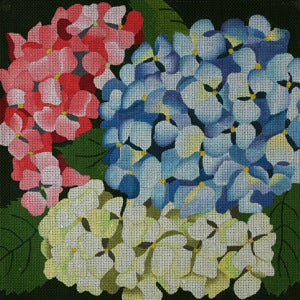 Giant Hydrangeas