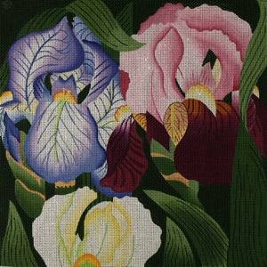 Giant Iris