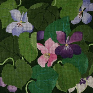 Giant Violets