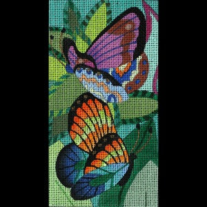 Jeweled Jungle Butterflies