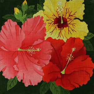 Giant Hibiscus