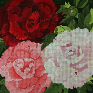 Giant Peonies