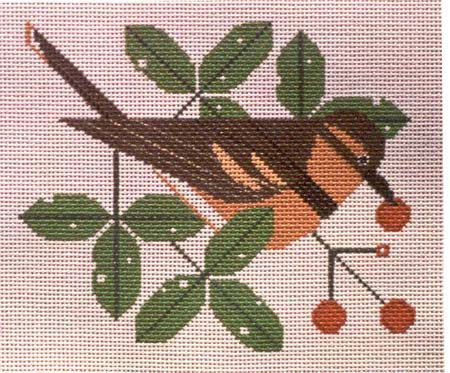 Varied Thrush