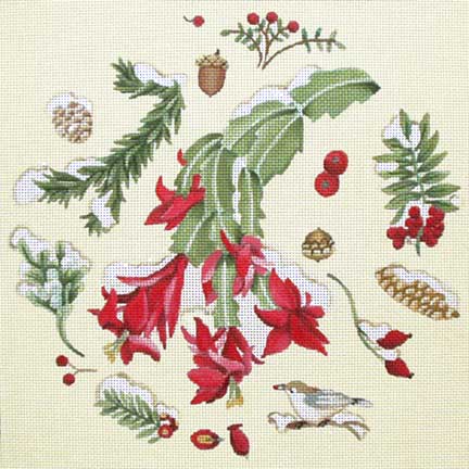 Christmas Cactus