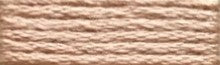 221 Berry Red Range - Needlepoint Inc Silk Hank